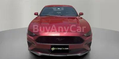 carsDetail