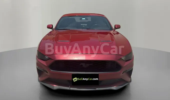 carsDetail