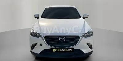 carsDetail