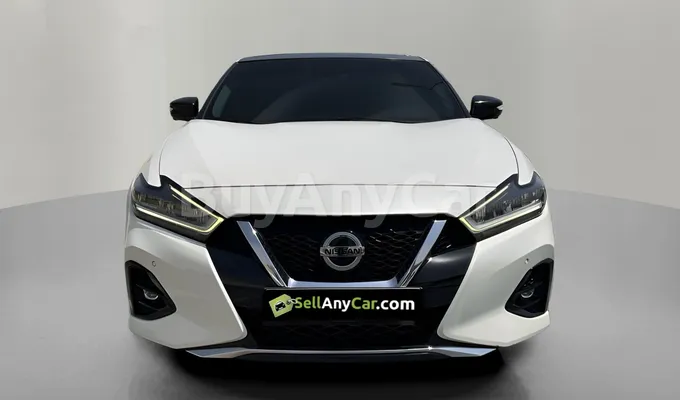 carsDetail
