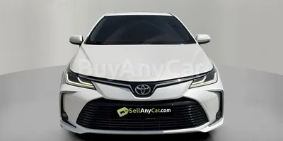 carsDetail