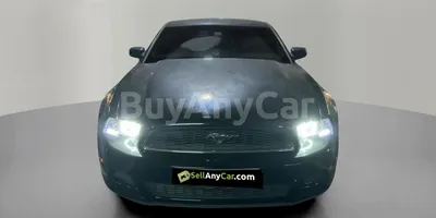 carsDetail