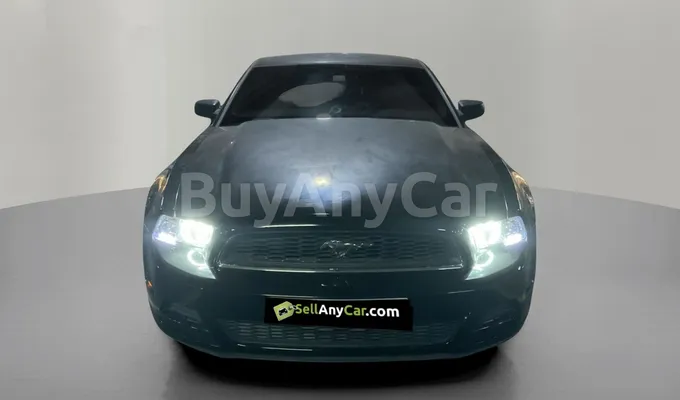 carsDetail