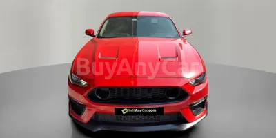 carsDetail