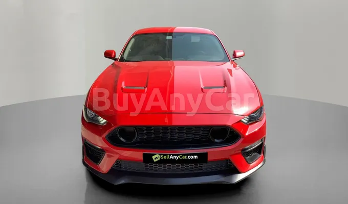 carsDetail