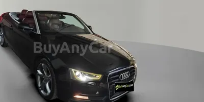 carsDetail