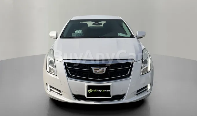 carsDetail