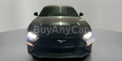 carsDetail