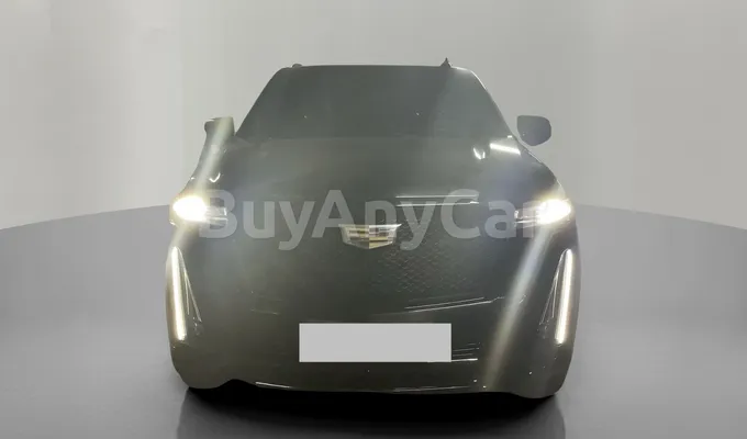 carsDetail