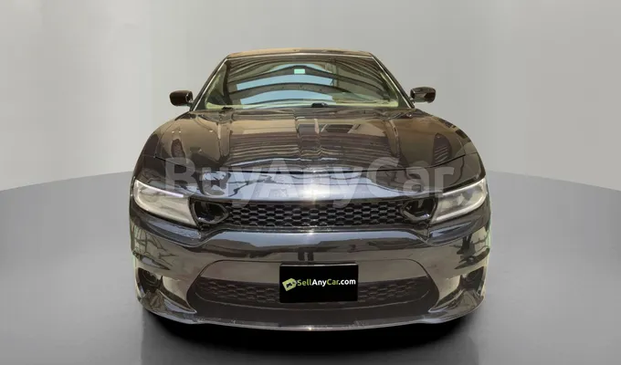 carsDetail