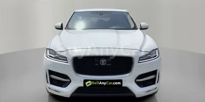 carsDetail