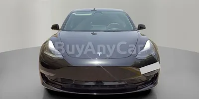 carsDetail