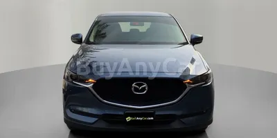 carsDetail