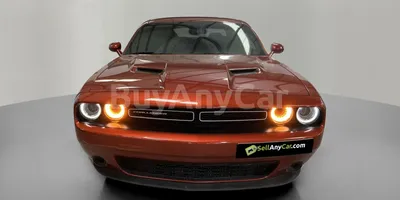 carsDetail