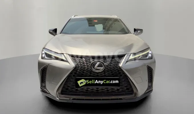 carsDetail