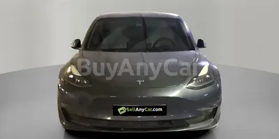 carsDetail