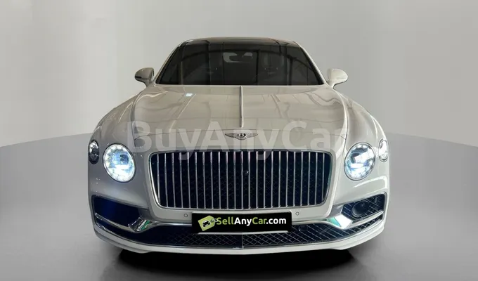 carsDetail