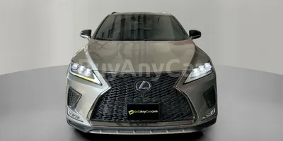 carsDetail