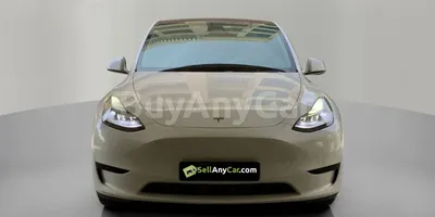 carsDetail