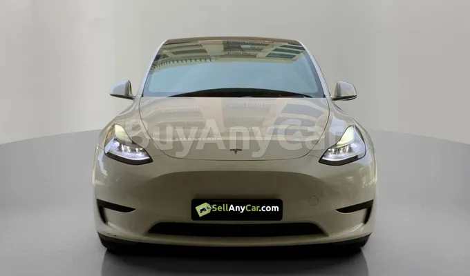 carsDetail