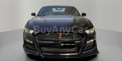 carsDetail