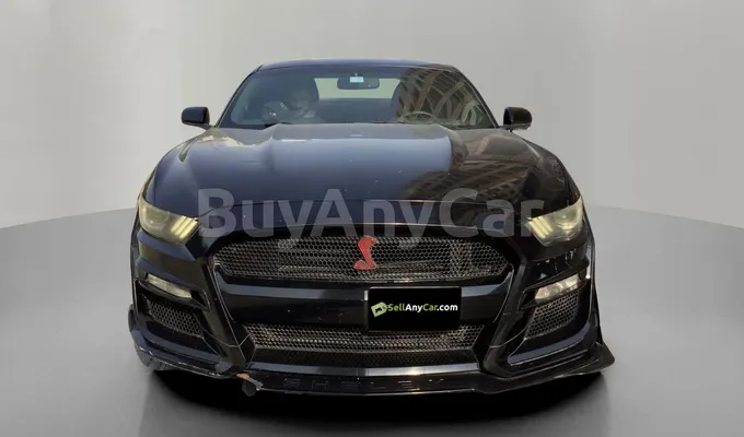 carsDetail