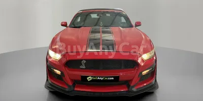 carsDetail