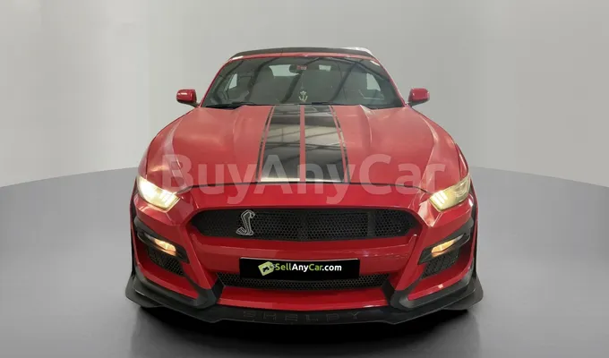 carsDetail