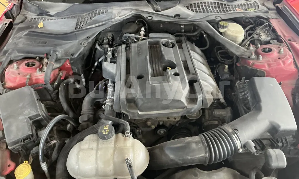 Vehicle photo 6