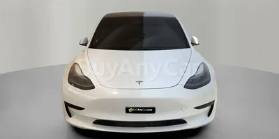 carsDetail