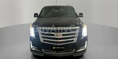 carsDetail