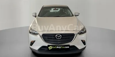 carsDetail
