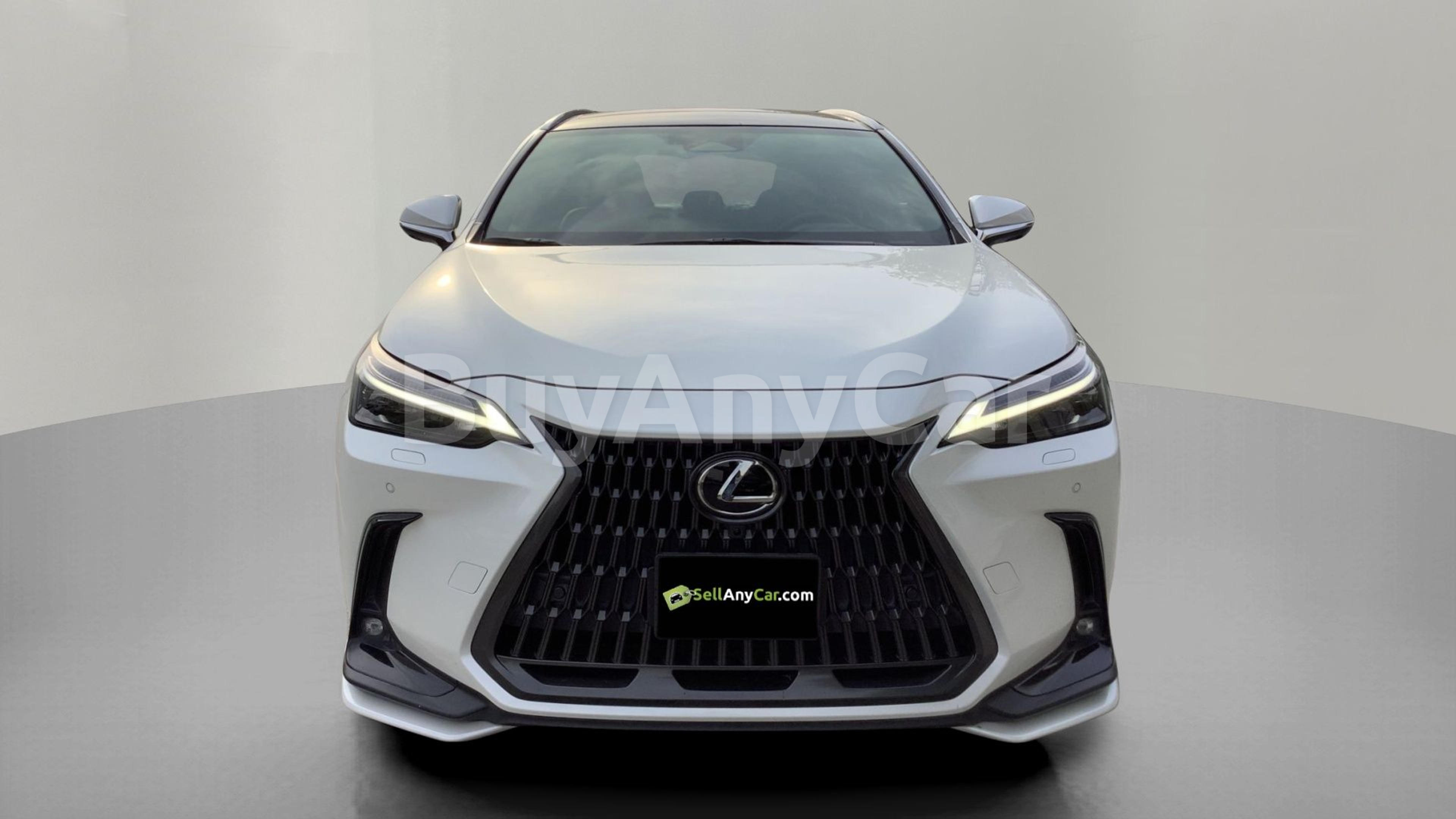 2024 Lexus NX