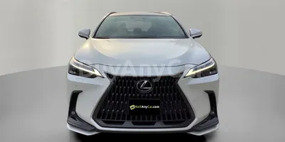 carsDetail