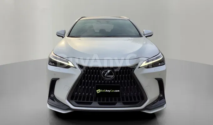 carsDetail