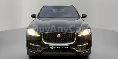 carsDetail