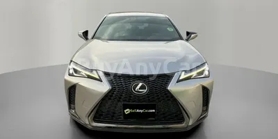 carsDetail