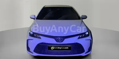 carsDetail