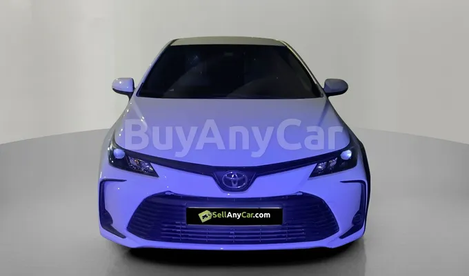 carsDetail