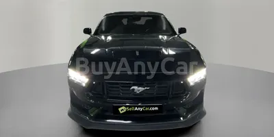 carsDetail
