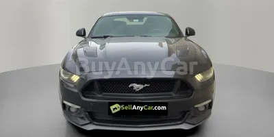 carsDetail