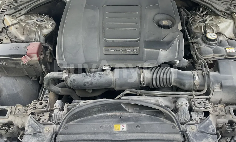 Vehicle photo 6