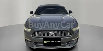 carsDetail
