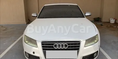 carsDetail