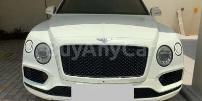 carsDetail
