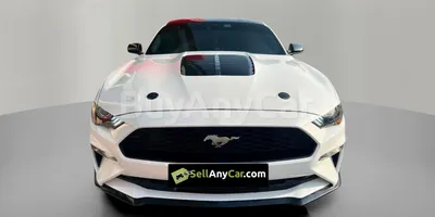 carsDetail