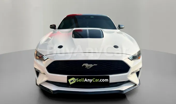 carsDetail