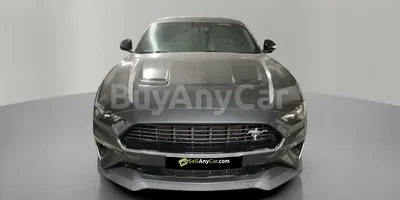 carsDetail
