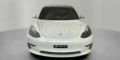 carsDetail