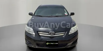carsDetail